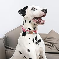 Vista 28 de Unique Style Paws - Collar rosa con hebilla de metal, duradero y lindo para perros pequeños a grandes