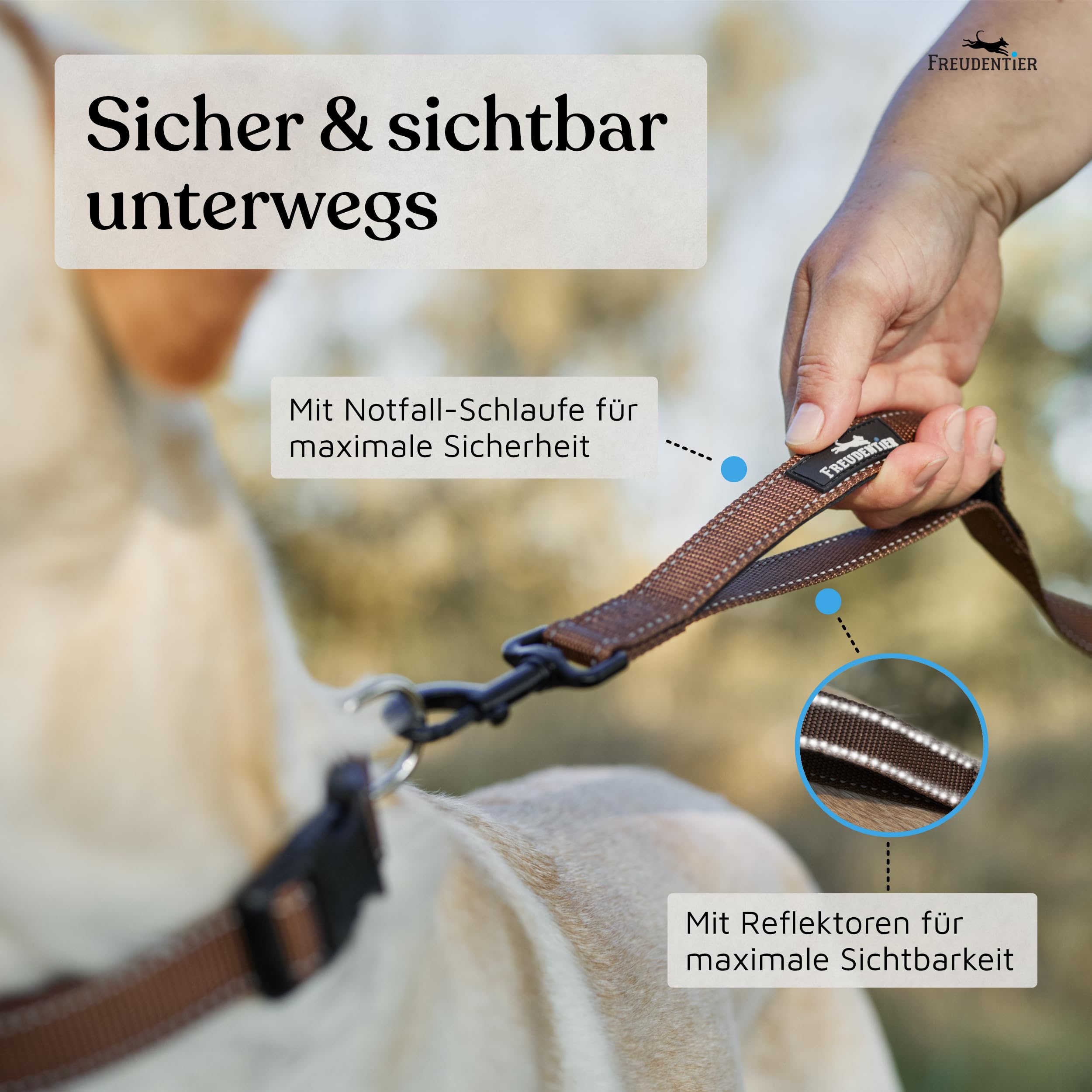 FREUDENTIER Umhängeleine Hund - Hundeleine 2,5m zum Umhängen, stufenlos verstellbar - Leine für kleine, mittelgroße & große Hunde (Braun, 2,5m)