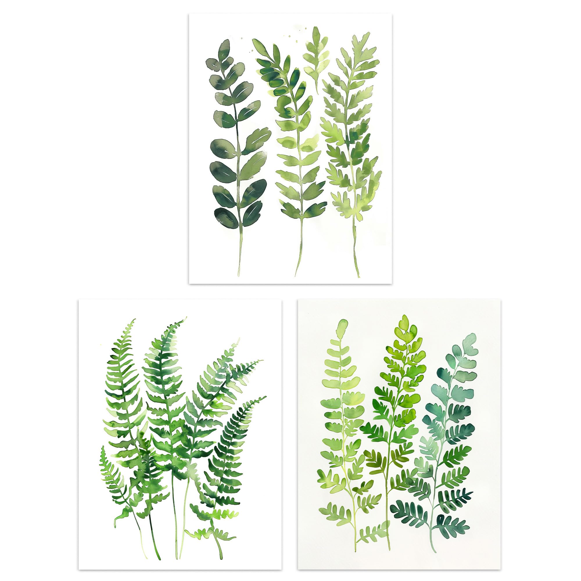 Artery8 Set of 3 Fern Fronds Leaves Botanical Watercolour Living Room A4 Size Wall Art Prints Pack