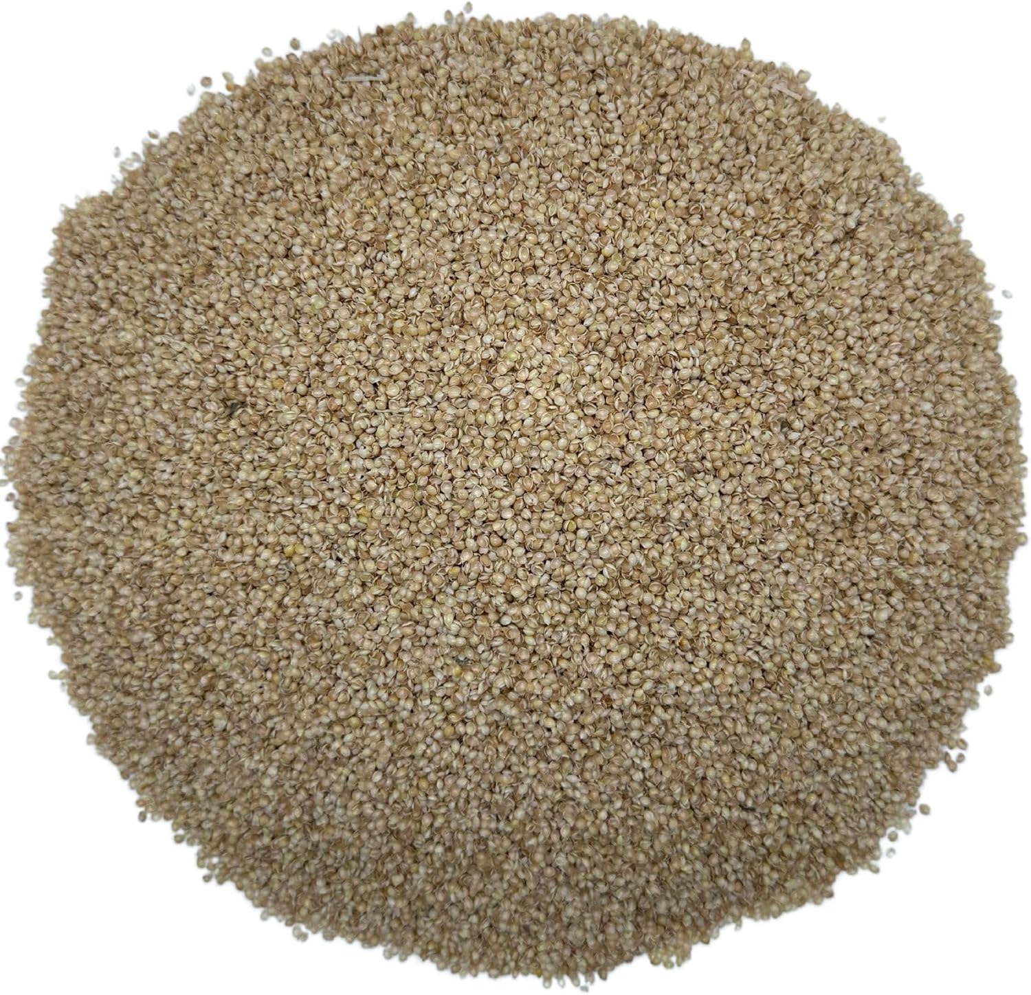 Millet Hulls Bean Bag Stuffing, Filling for Pillows (1