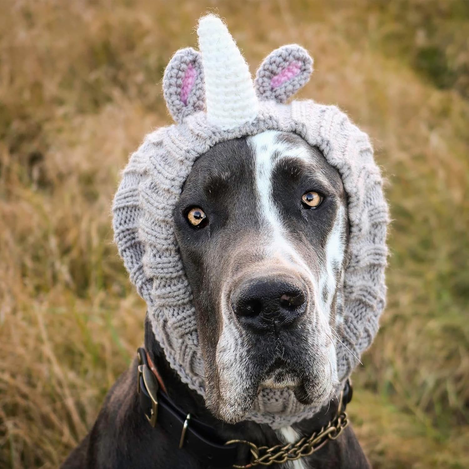 Zoo Snoods Rhino Costume - Knit Dog Snood Ear Wrap for Pets, Warm Neck Cover for Halloween and Winter (Small)