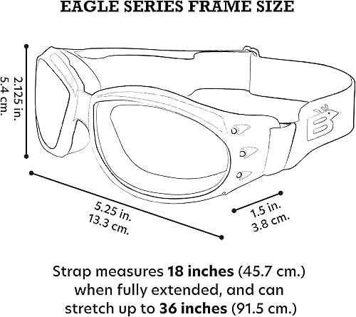 Miniatura 7 de Birdz Eagle Red Baron - Gafas de aire para motocicleta, transparentes y superoscuras para el día y la noche