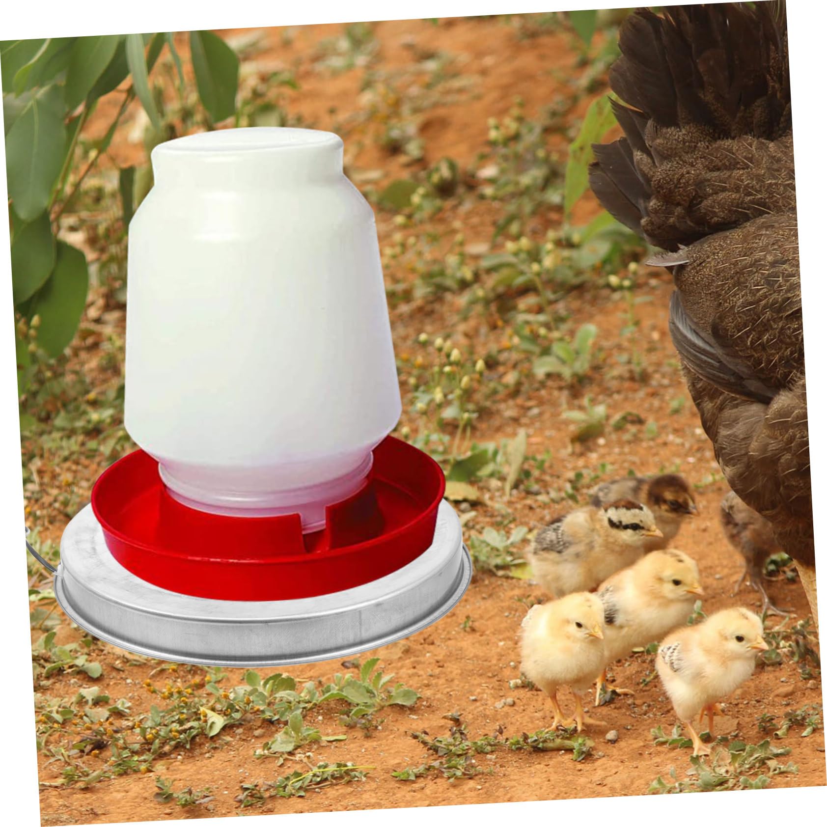 Base Calefactora para Bebederos de Aves de Corral en Invierno | Metal, Control Termostático, Desconexión Automática de Seguridad, para Bebedero de Mascotas y Aves