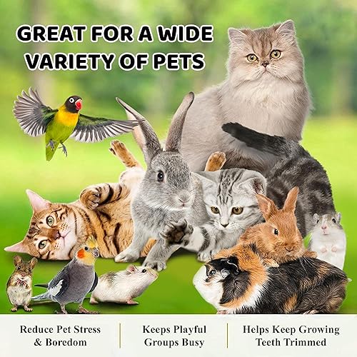 Miniatura 9 de SunGrow Assorted Rabbit Chew Balls, Teething Activity Toy for Pocket Pets, Improves Dental Health, Environment Friendly, Stress Reliever