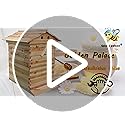 Golden Palace Bee Hive, Beehive with 7pcs Auto Super Frames, Bee House with 1pcs Super Boxes, 1pcs Brood Boxes(No Brood Frames), Bee Hives Starter Beekeeping Kits