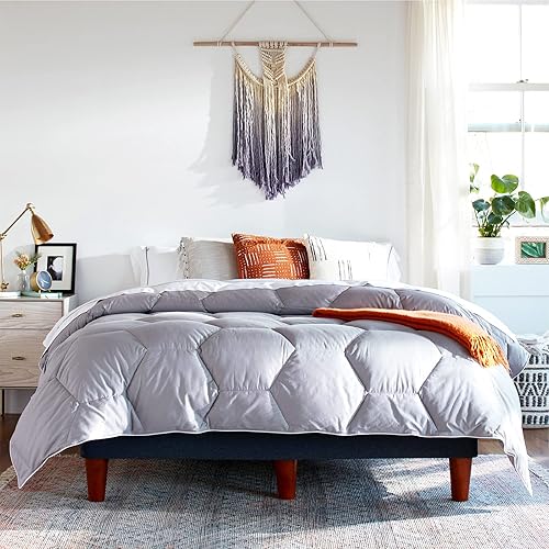Layla Edredón alternativo para todas las estaciones, (gris, kingCalifornia King), 300 hilos 100% tela de algodón con trabillas en las esquinas
