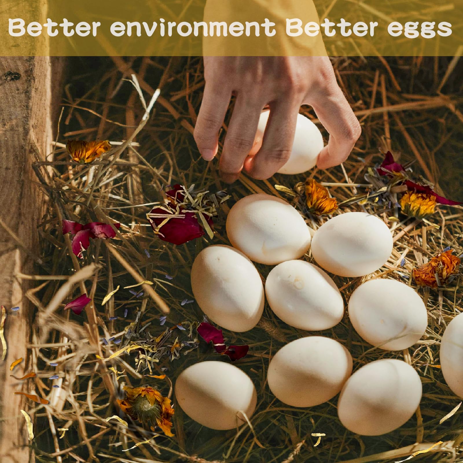 Hierbas para gallinas anidantes, hierbas para gallinas anidantes en gallineros, mezcla de 1 libra para la salud de las gallinas, cama de gallinero, producción de huevos y