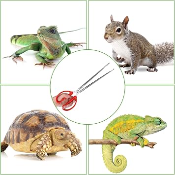 Snake Feeding Tongs,15 Inch Reptile Feeding Tongs,Extra Long Large Tweezers for Corn Ball Python Accessories,Bearded Dragon Tank Accessories,Pet Terrarium Supplies for Leopard Crested Gecko,Lizard