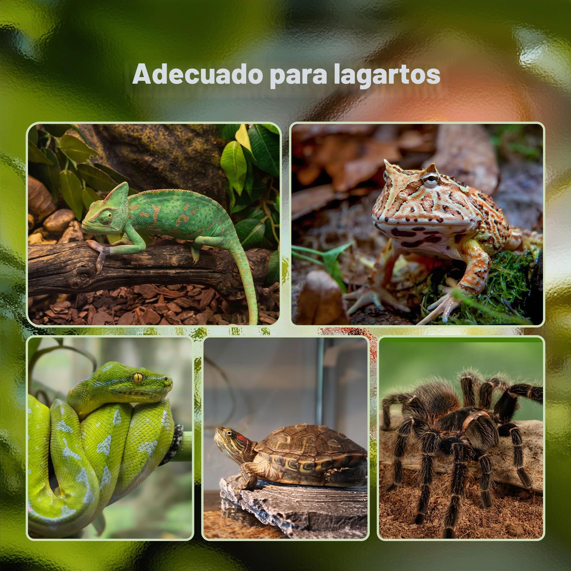 PawHut Terrario para Reptiles, terrario de Cristal, Anfibios, arácnidos, con termómetro, Caja de Cultivo de Reptiles, Metal, Color Negro, 50 x 30 x 25 cm