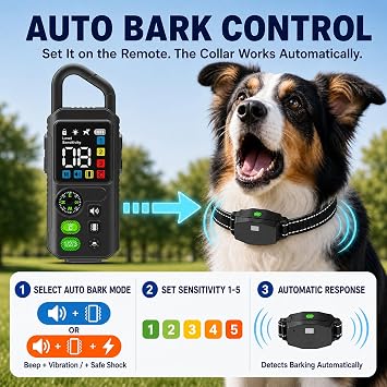 2-in-1 Dog Shock Collar & Bark Collar for 2 Dogs with Remote, 15-110lb