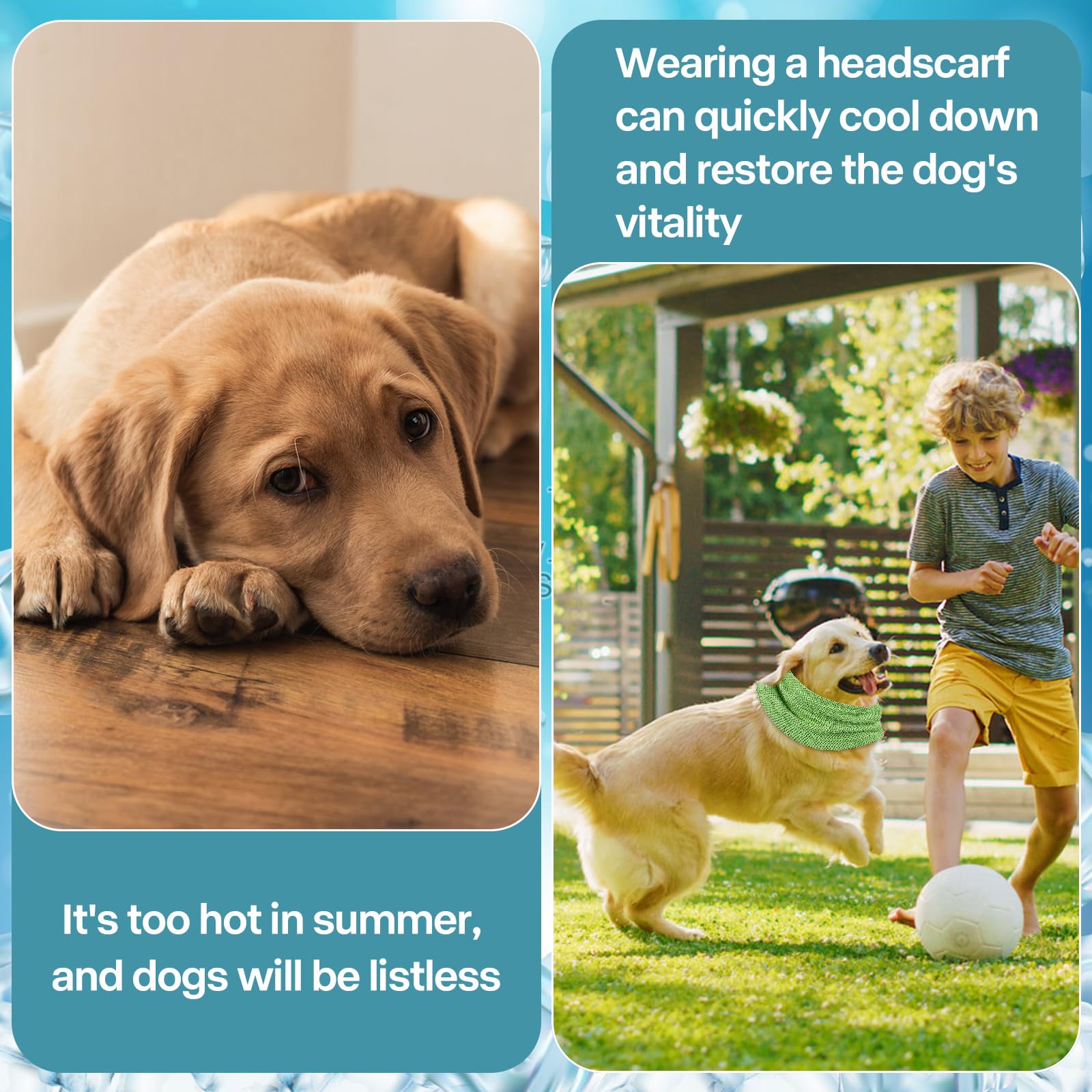 Collare di Raffreddamento per Cani, Collare Rinfrescante per Cani, per Rinfrescare Cane Estate