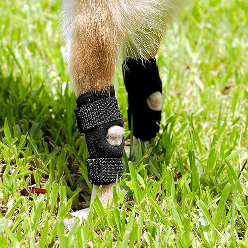 Miniatura 6 de peepbo Soporte de pierna de perro para pierna trasera y tobillo para desgarro de ACL y CCL, envoltura de compresión de articulación de pierna