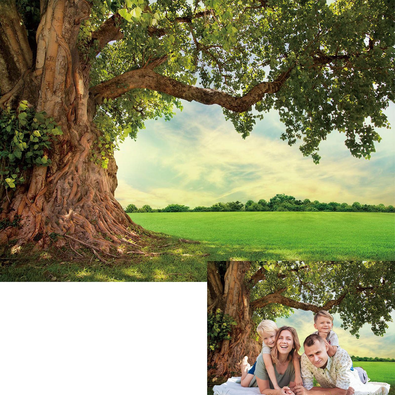 BINQOO Spring Green Tree Backdrop Outdoor Countryside Picnic Sunshine Sky Cloud Grass Background for Photography Vacation Kids Wedding Birthday Party