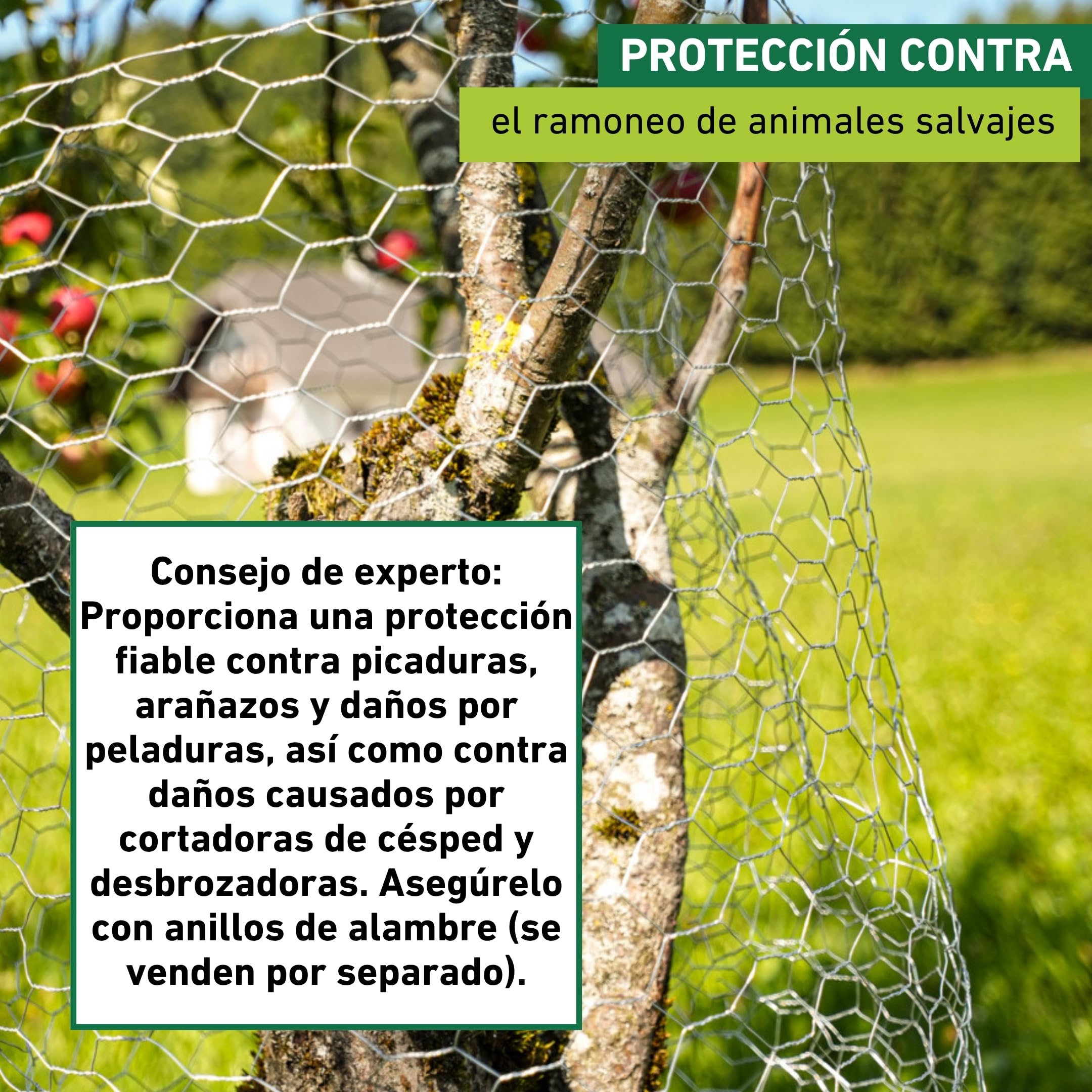 Windhager Malla galvanizada para Animales pequeños, 1 x 10 m