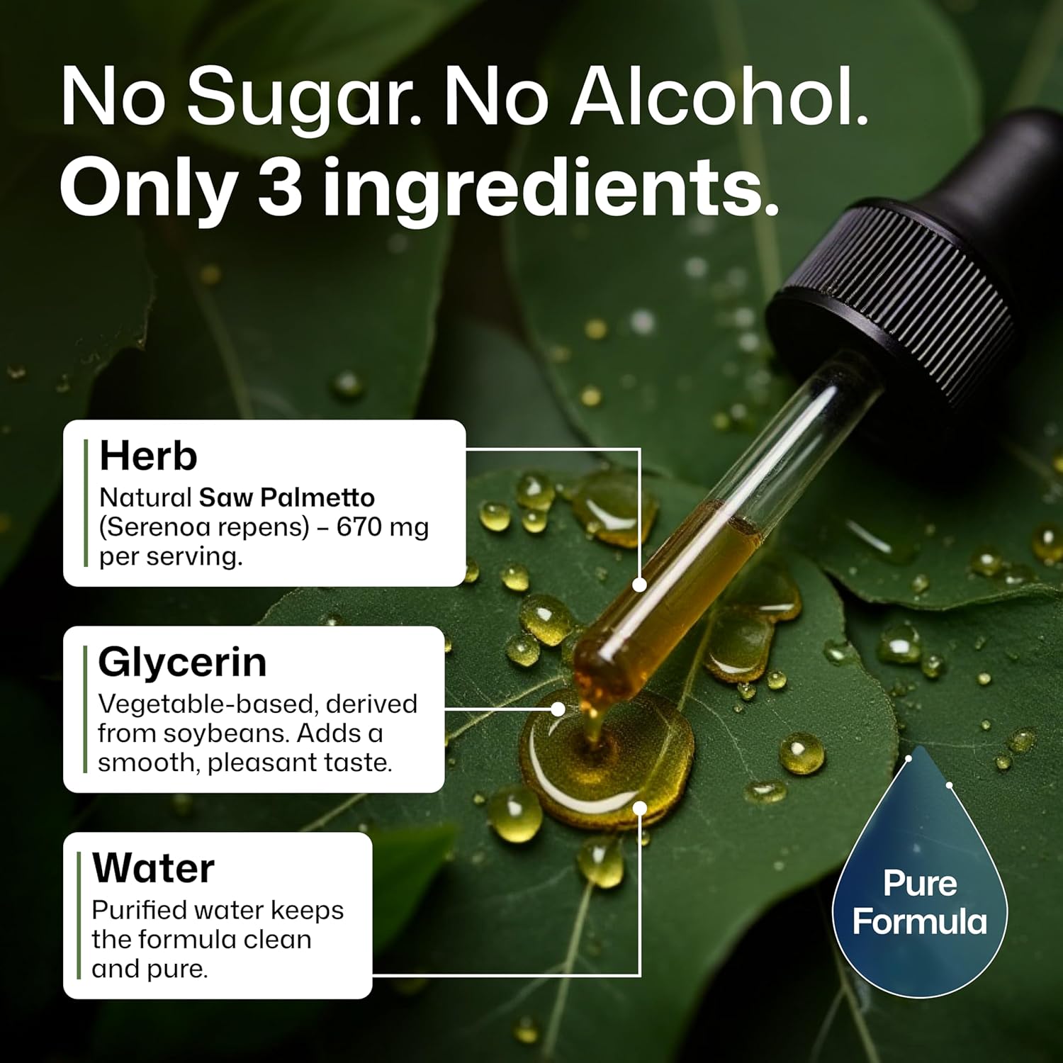 BIO KRAUTER® Saw Palmetto for Men & Women - Pure Vegan Liquid Drops Saw Palmetto 670 mg per Serving 4 Fl.Oz 56-Day Supply - Used for Urinary Tract Support, Hair & Skin Wellness - Alcohol & Sugar Free