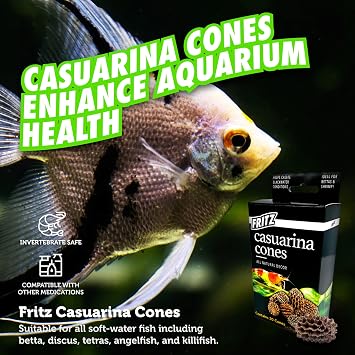 Fritz Aquatics Betta Botanicals for Betta and Community Fish Aquariums (Casuarina Cones - 20ct)
