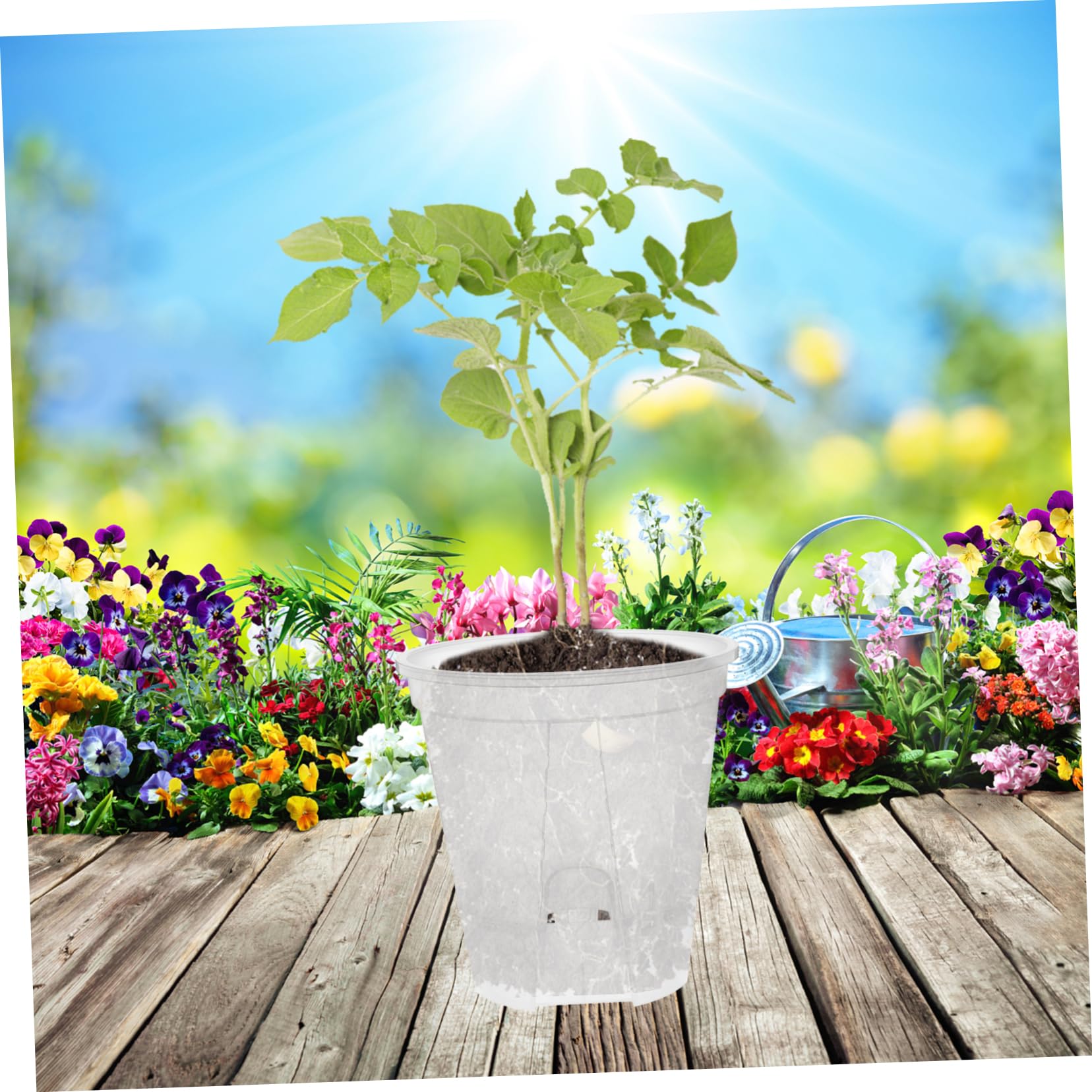 BESPORTBLE 6pièces Lot de Pots à Orchidées Transparents avec Drainage Automatique pour Plantes Intérieur Et Pépinière