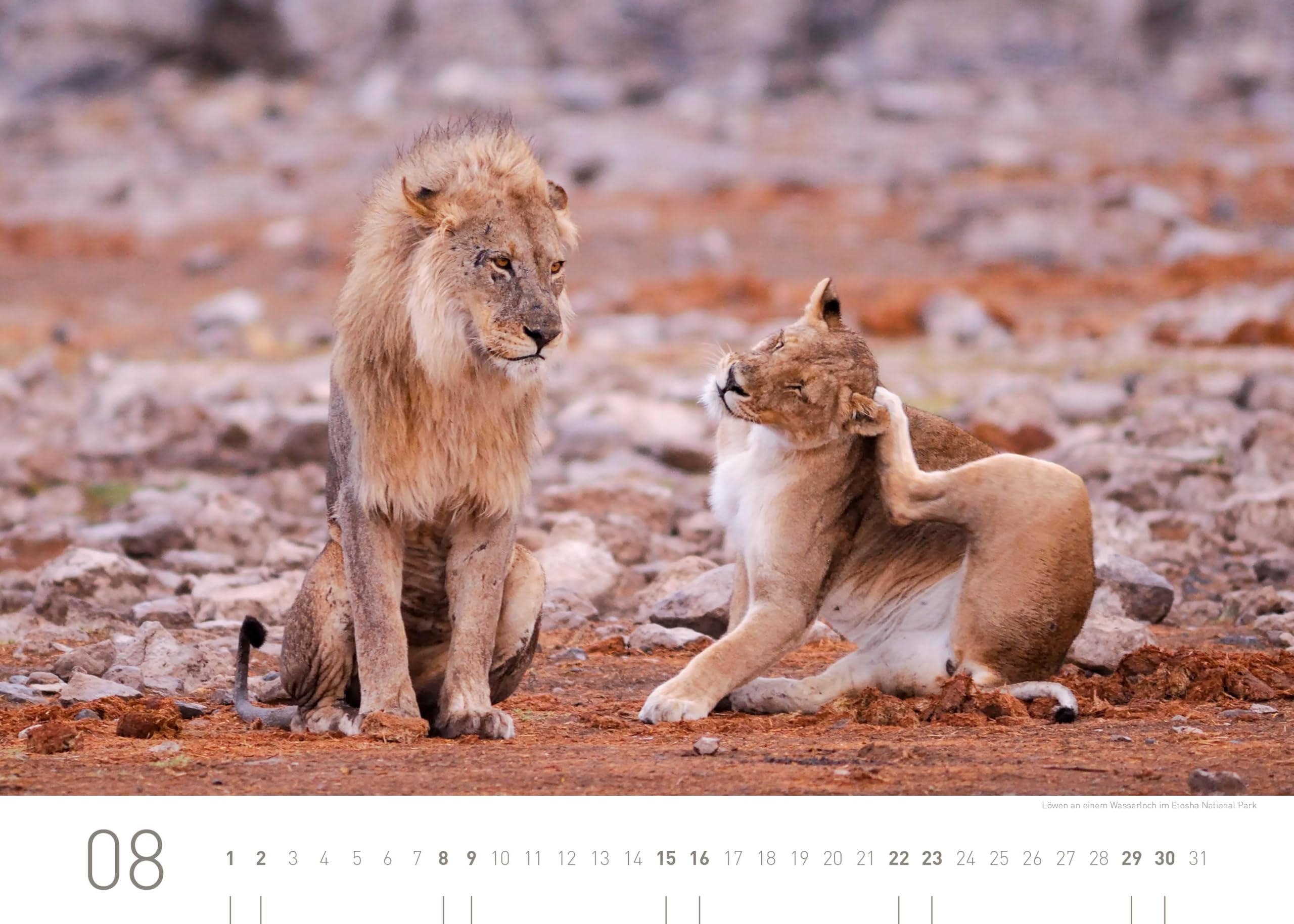 Namibia Exklusivkalender 2026 (360° Exklusivkalender 2026: Limited Edition (70 x 50 cm))