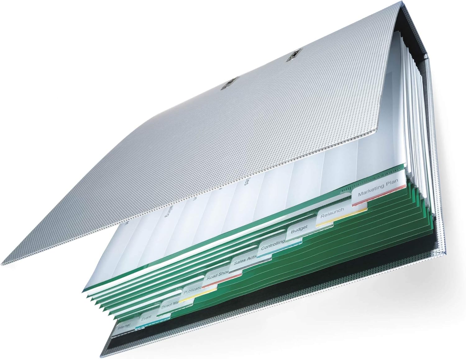 Durable 622305 Blank Index File with Sealed Tabs and 20 Insert Labels for A4 Sheets - Green