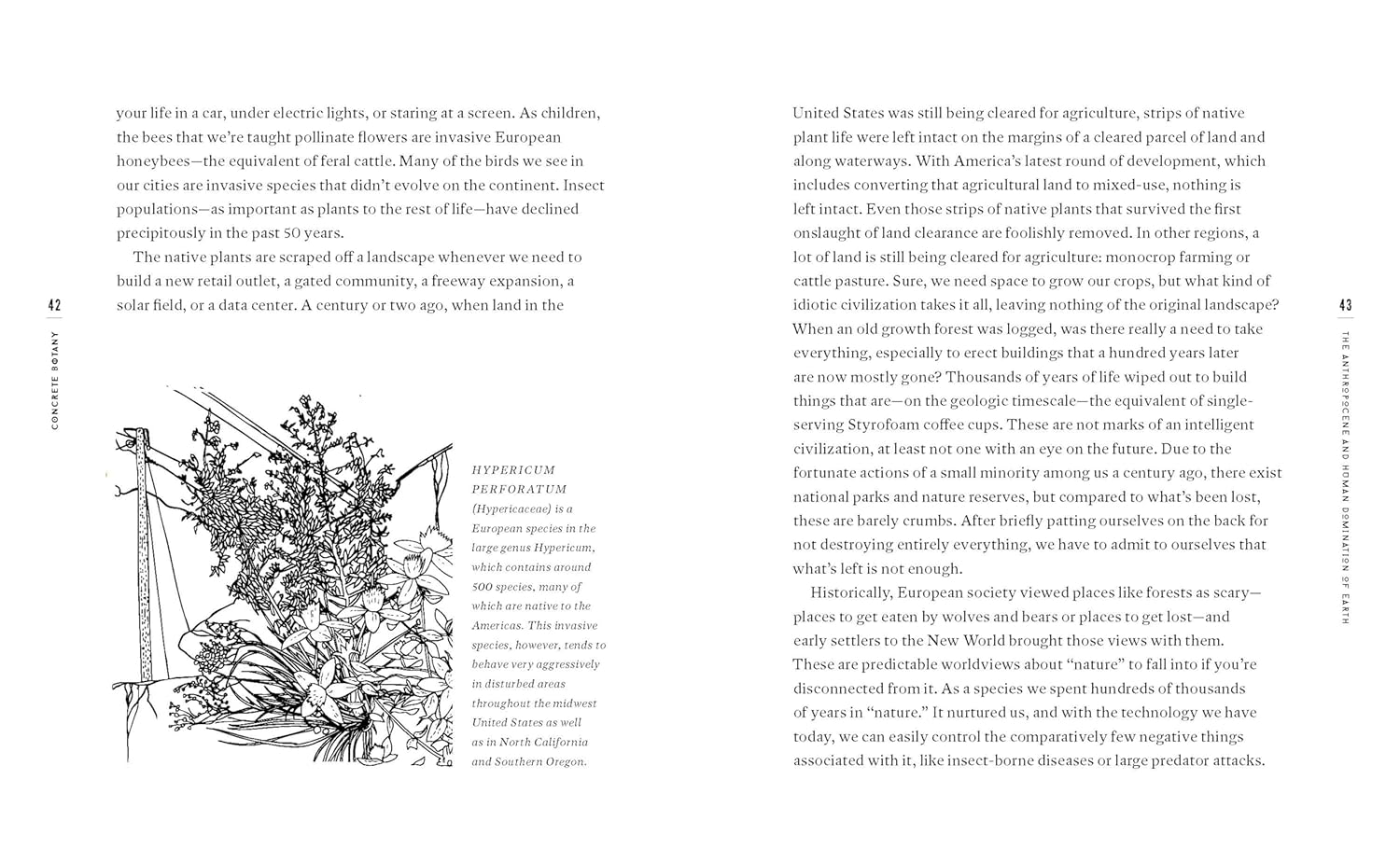 Concrete Botany: The Ecology of Plants in the Age of Human Disturbance