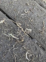 お客様イメージ