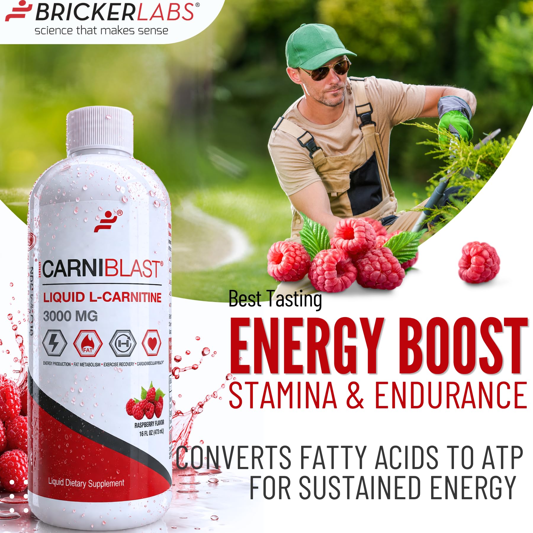 Amazon.com: Bricker Labs CARNIBLAST Liquid L-Carnitine 3000mg, Premium L  Carnitine Carnipure, Energy Nutrition, Energy Supplement and Energy  Booster, Raspberry, 16 fl oz : Health & Household