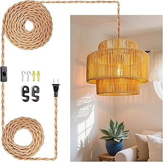 12 Indian Foyer Entryway Ideas with Cultural Style 45 Hanging Light Ceiling Lamp Pendant Lights Rattan Hanging Lamp with Plug ...