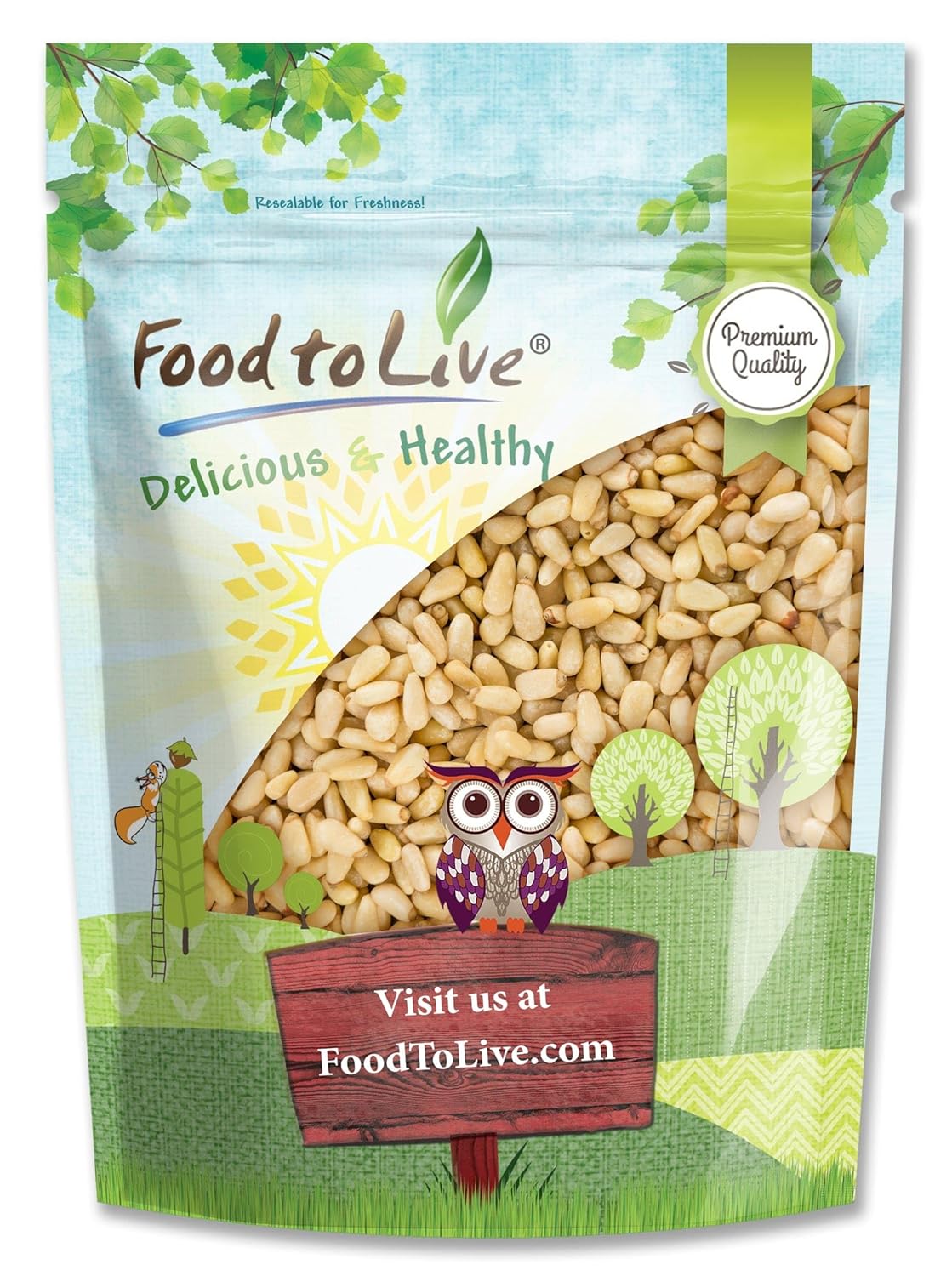 Food to Live - Pine Nuts, 5 Pounds Raw Pignolias, Kosher, Vegan