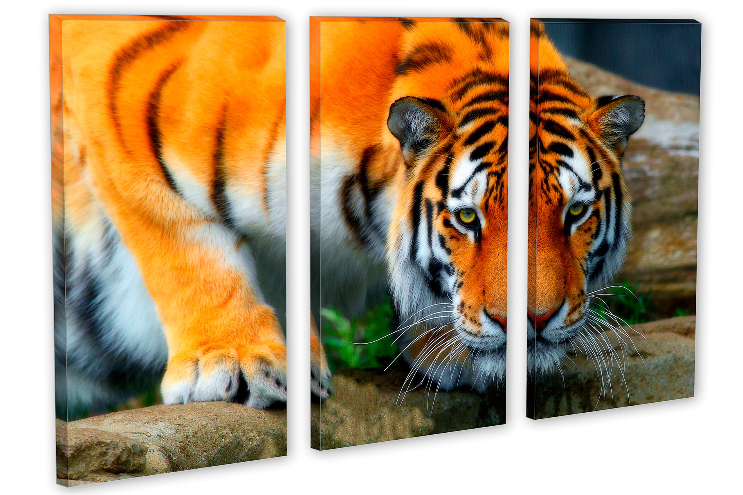 【0313】プリントアート｜角型 (キャンバス［STEP｜SSM］) Amazon｜Staring Tiger – 3パネル分割( Triptych )キャンバス印刷