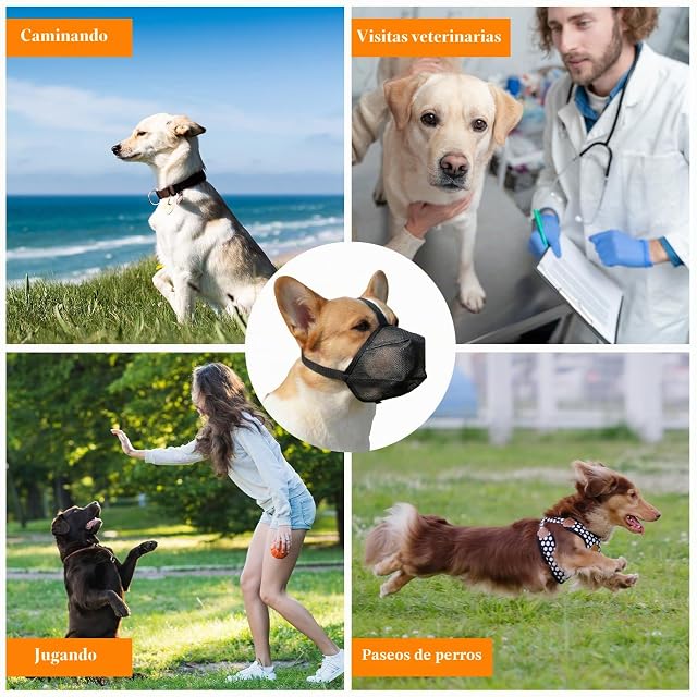 Foto 7 de 7 de Frutilexia Bozal Perro, Bozal para Perros Grandes, Transpirable Bozales, L