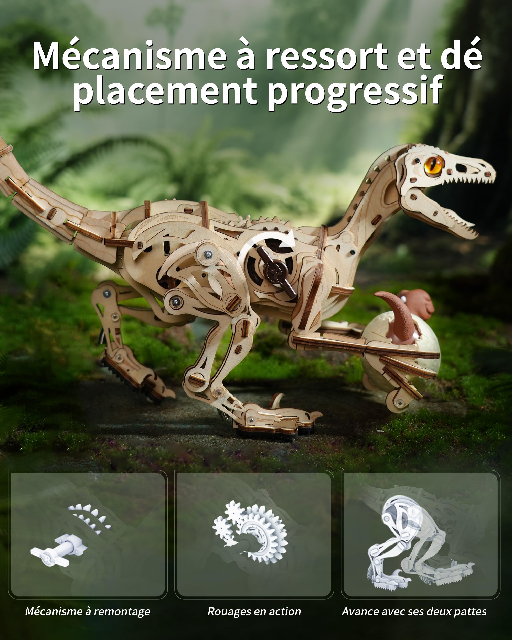 ROBOTIME Puzzle 3D Dinosaurier Kit pour Adultes & Enfants, Modèle Velociraptor à Remonter, Jouet Éducatif STEM, Kit Construction Mécanique, LD01