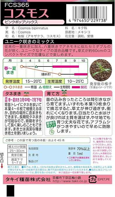 Amazon タキイ種苗 コスモス ピンクポップソックス 花
