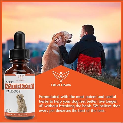 Miniatura 5 de Antibióticos naturales para perros | Antibióticos para perros | Tratamiento de infección del oído del perro | Alivio de la picazón del perro |