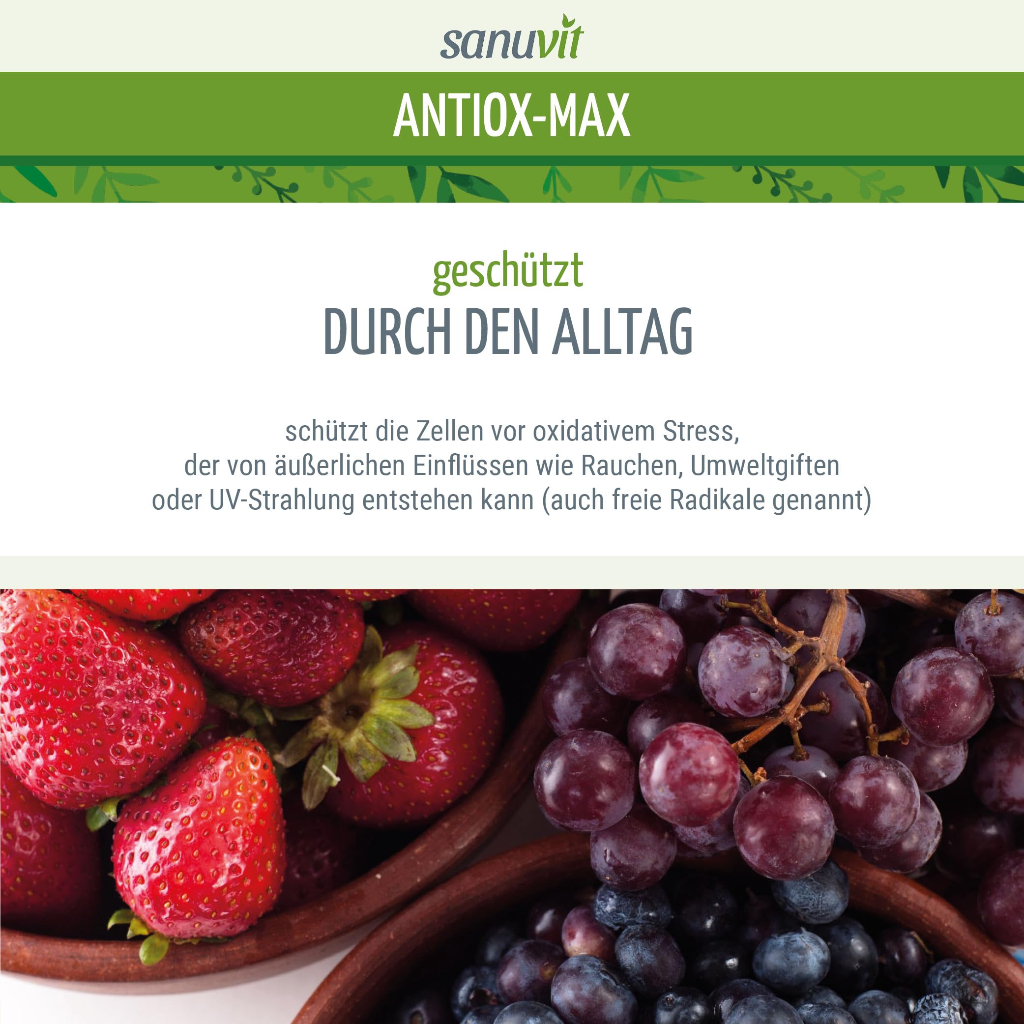 Sanuvit Antiox-Max 60 Kapseln - Reinstoffprodukt direkt vom Hersteller (hypoallergene Manufaktur)