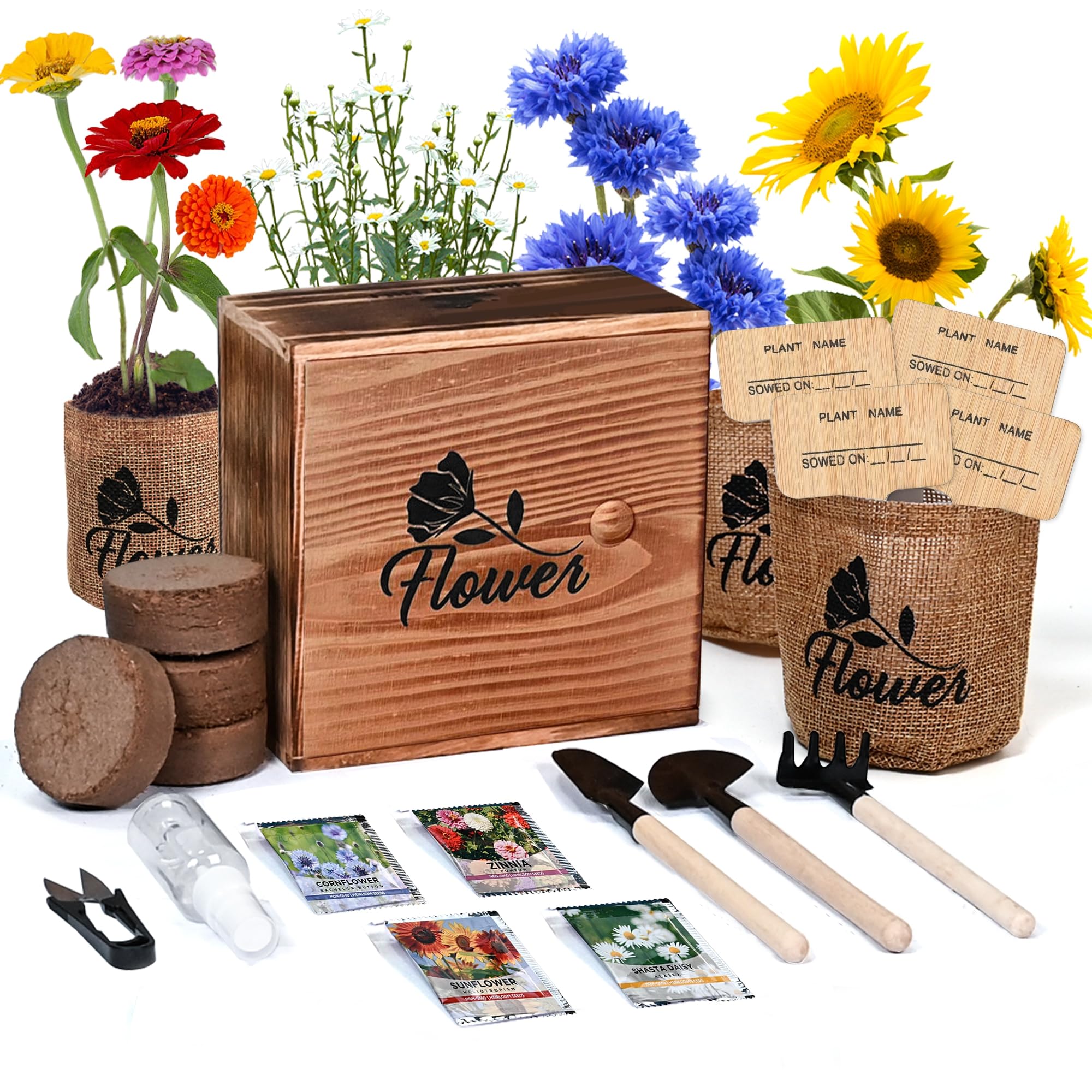 Meekear Indoor Starter 4 Kit with Complete Gardening Kit & Wooden Box, Growing into Shasta Daisy, Cornflower, Sunflower, Zinnia