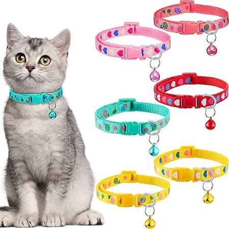 pets at home kitten collar