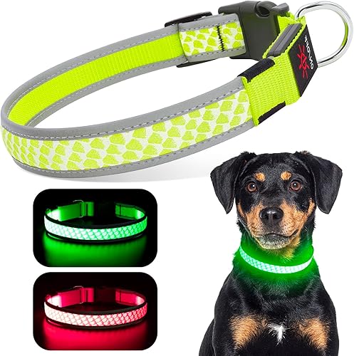 Collares de perro con luz para perros grandes, recargable por USB, resistente al agua, que brillan en la oscuridad, collar iluminado para perros por
