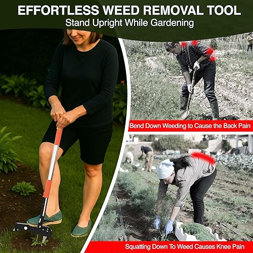 Miniatura 6 de Herramienta extractora de malezas