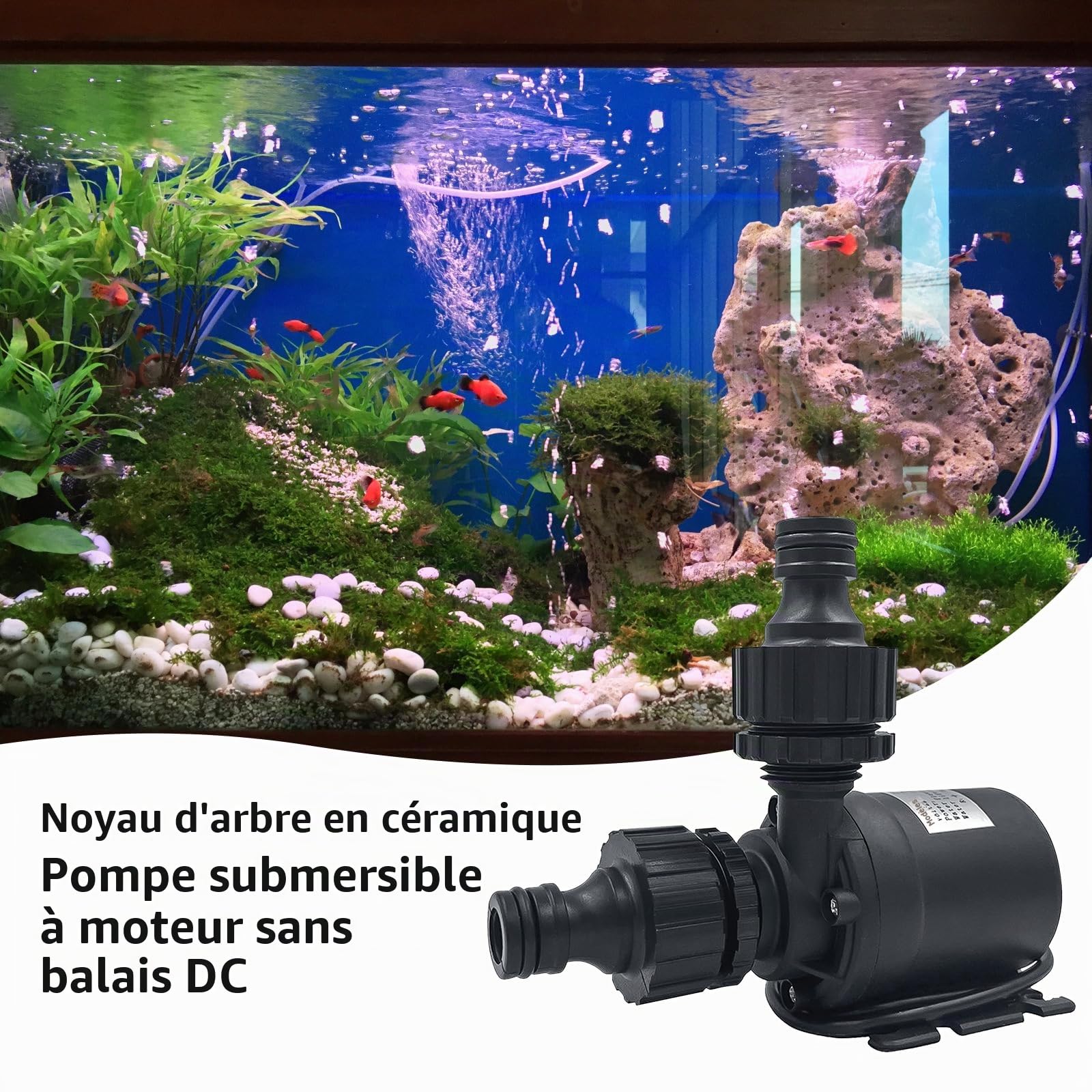 2 PCS Pompe a Eau 12v, Mini Pompe à Eau Submersible Moteur Sans Balais 800l/h 5m Mini pompe à eau submersible sans balais - - Pour bassin, aquarium, fontaine solaire