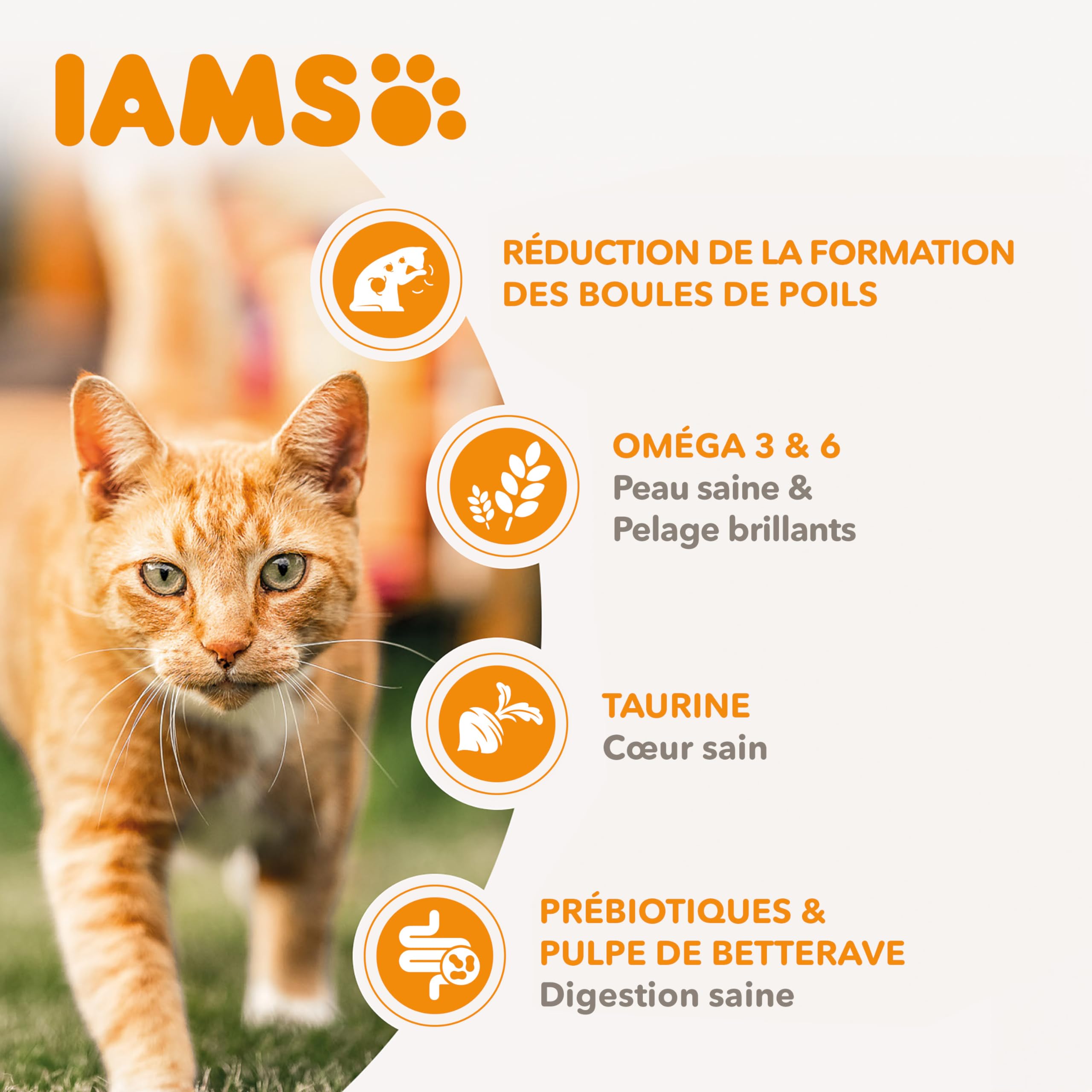 IAMS Advanced Nutrition - Croquettes Chats Adultes et Séniors Anti-Boules de Poils - 100% Complètes et équilibrées - Au poulet frais - Sans OGM Colorants Arômes Artificiels - Sac refermable de 3 kg