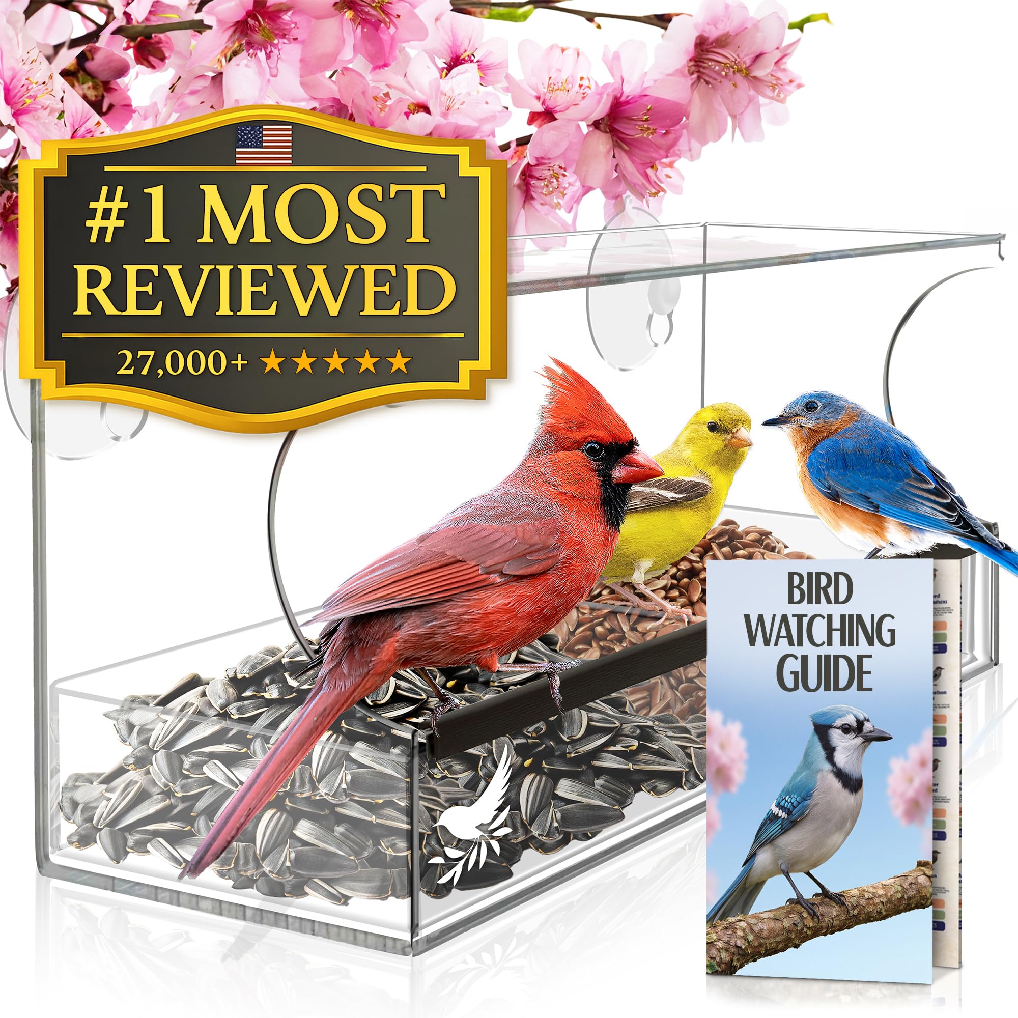 Nature’s Hangout Window Bird Feeder