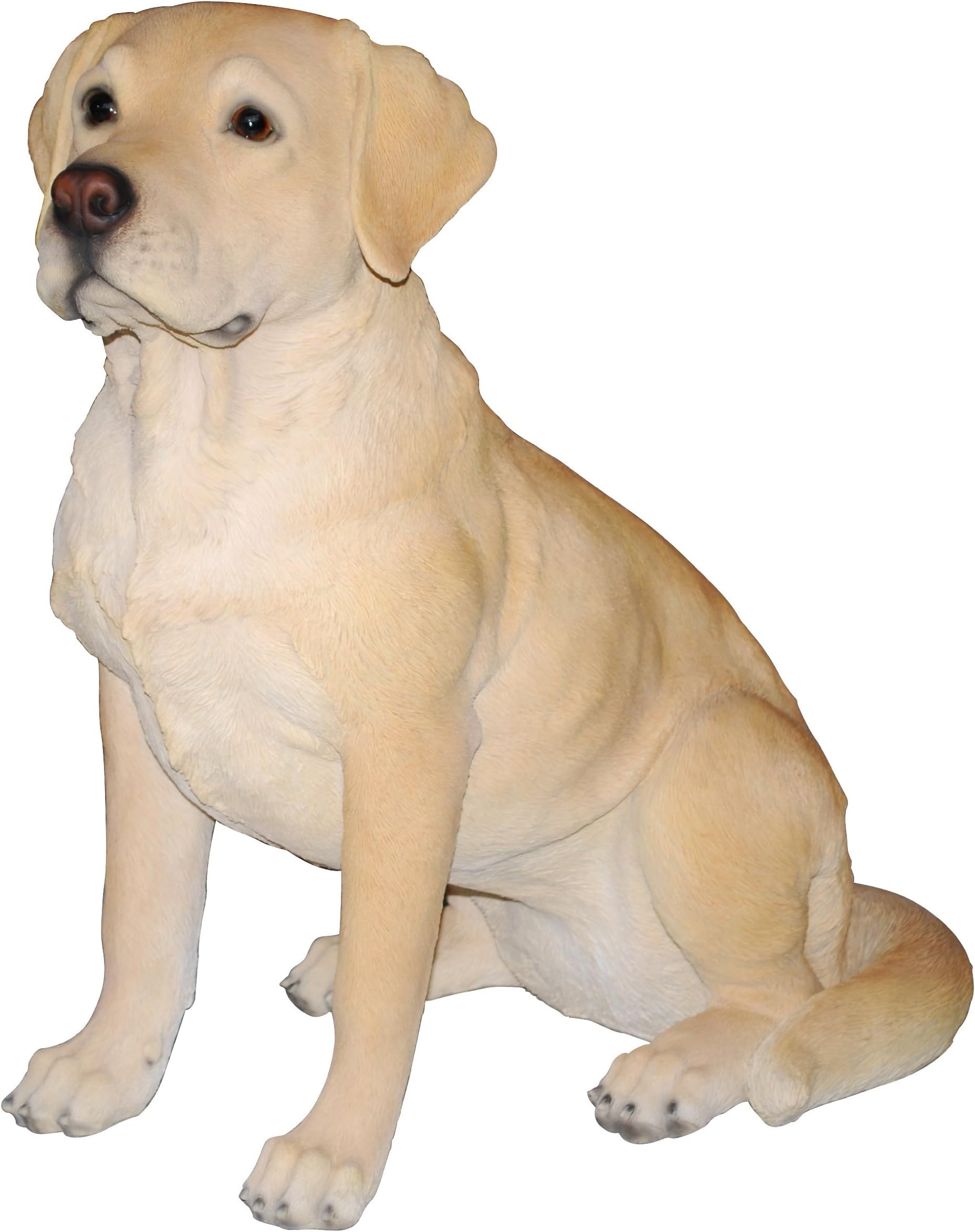 Vivid Arts Size-A Real Life Golden Labrador
