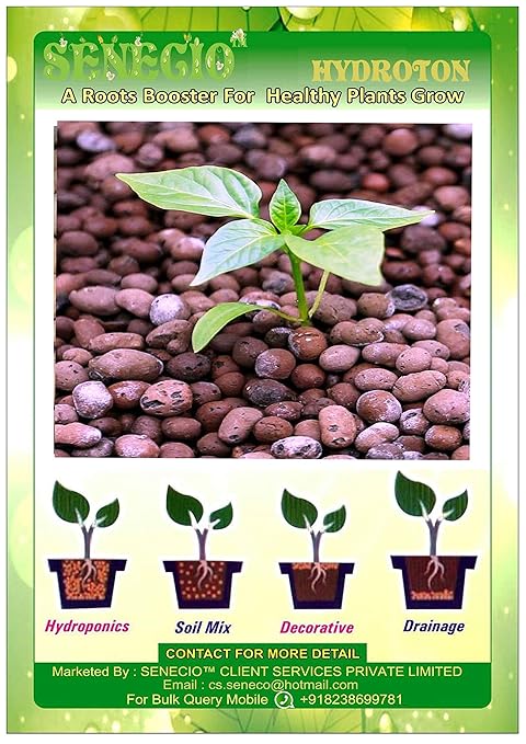 SENECIO 1Kg HYDROTON Lightweight Exclusive Clay Aggregate (LECA) Pebble Clay Ball for Hydroponic Aquaponic & Land Scaping