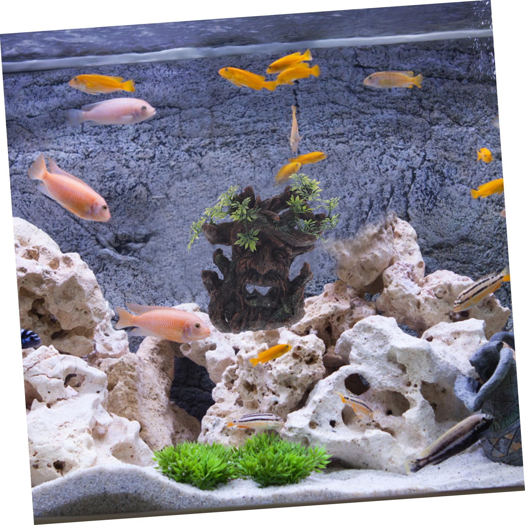 Toddmomy 2pezzi Per Gamberetti Decorazione Stump Per Nascondiglio Per e Rettili Accessorio Per Acquari e Terrari Design Realistico e