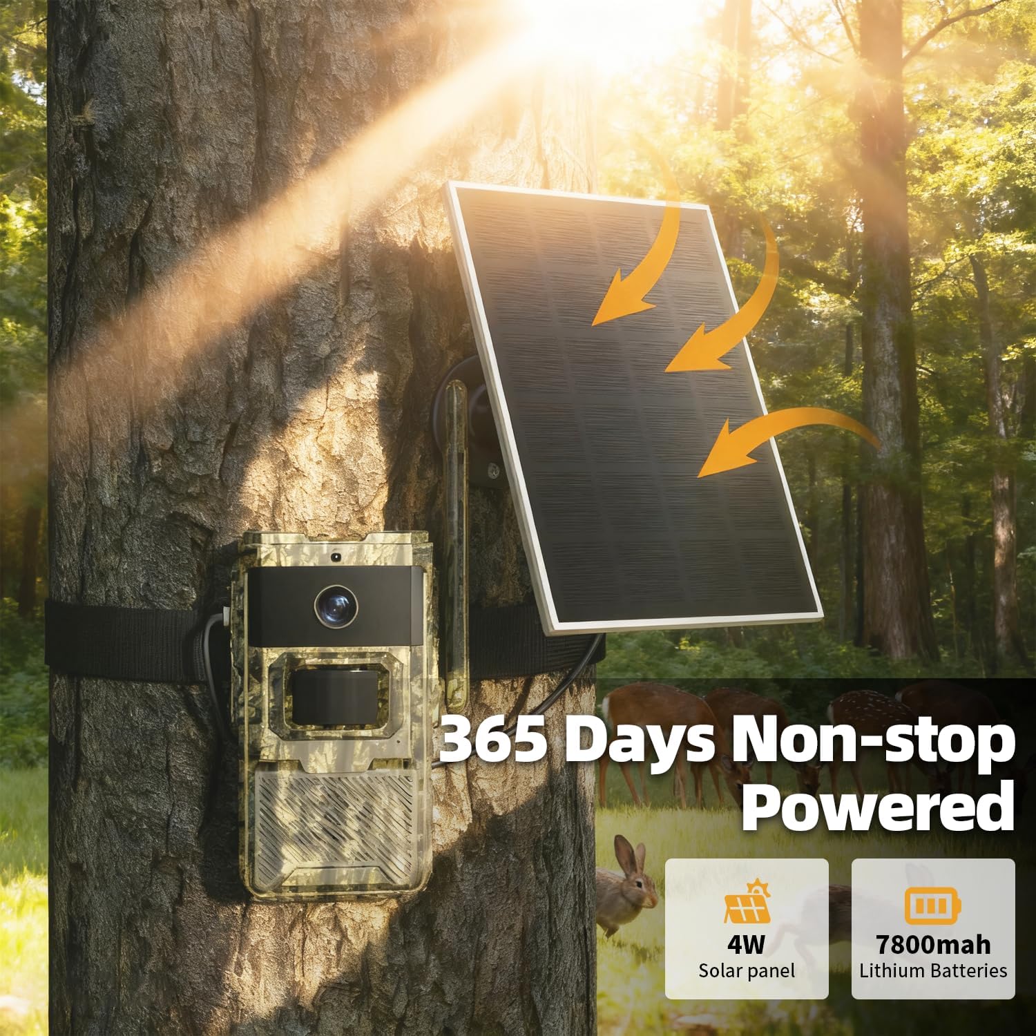 adorcam T4 Trail Camera night vision comparison