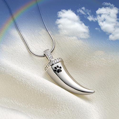 Miniatura 5 de Fanery sue Pet Ashes Necklace Cremation Jewelry Pet Memorial Gifts Heart Pendant for Loss of Dog Cat Pet Urn Necklaces Rainbow Bridge Keepsake