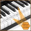 61-Key Electronic Keyboard Portable Digital Music Piano with Lighted Keys, H-Stand, Stool, Headphones, Microphone, Sticker Set