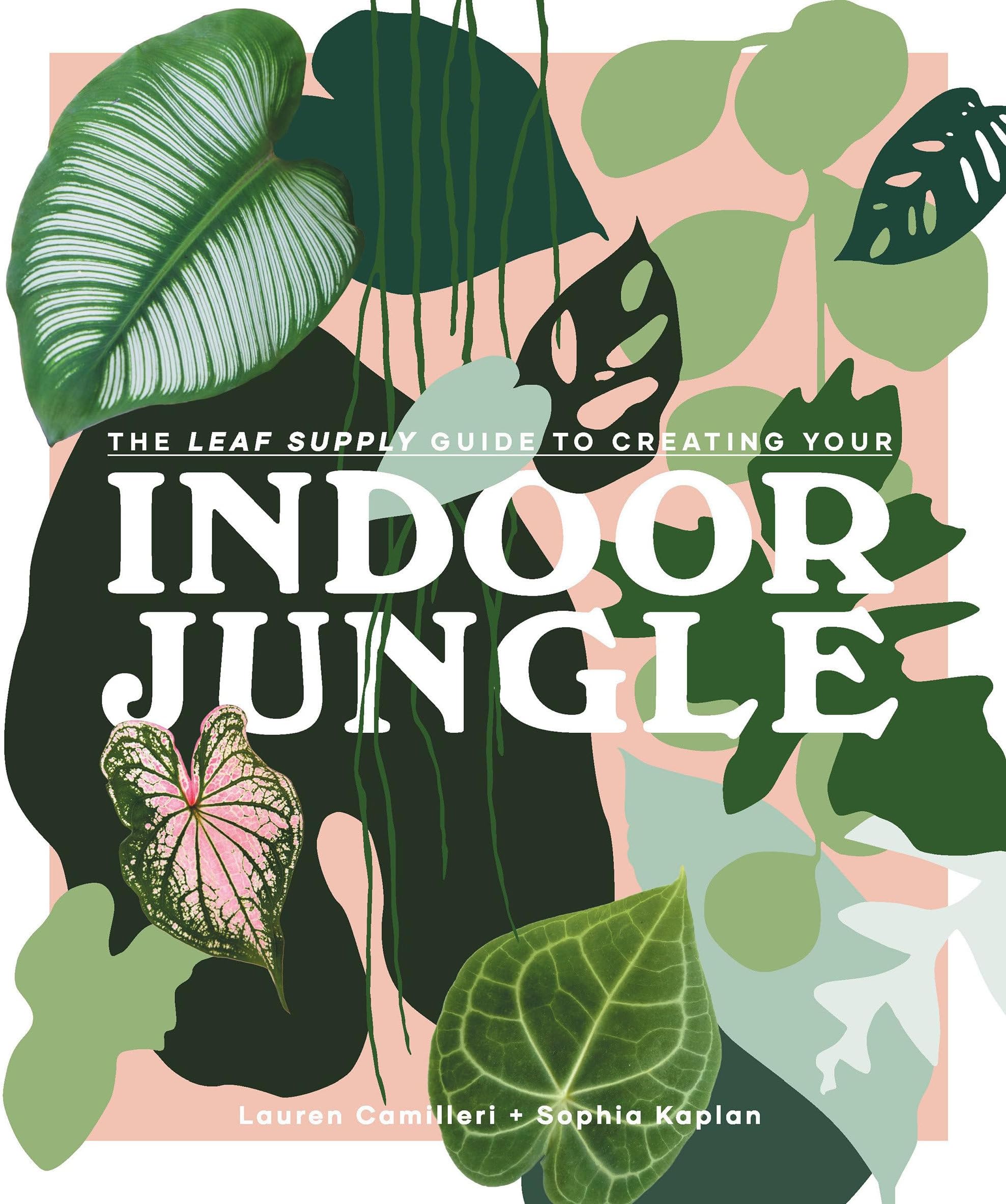 The Leaf Supply Guide to Creating Your Indoor Jungle