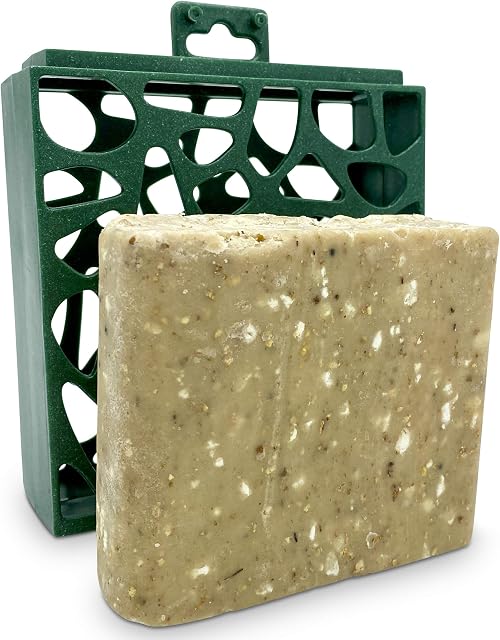 Eco Friendly Bird Feeder Pre-Filled with Suet Block Cake Included - Green Recycled Plastic Hanging Feeders for Wild Garden Birds - Attracts Finches, Robins & many others