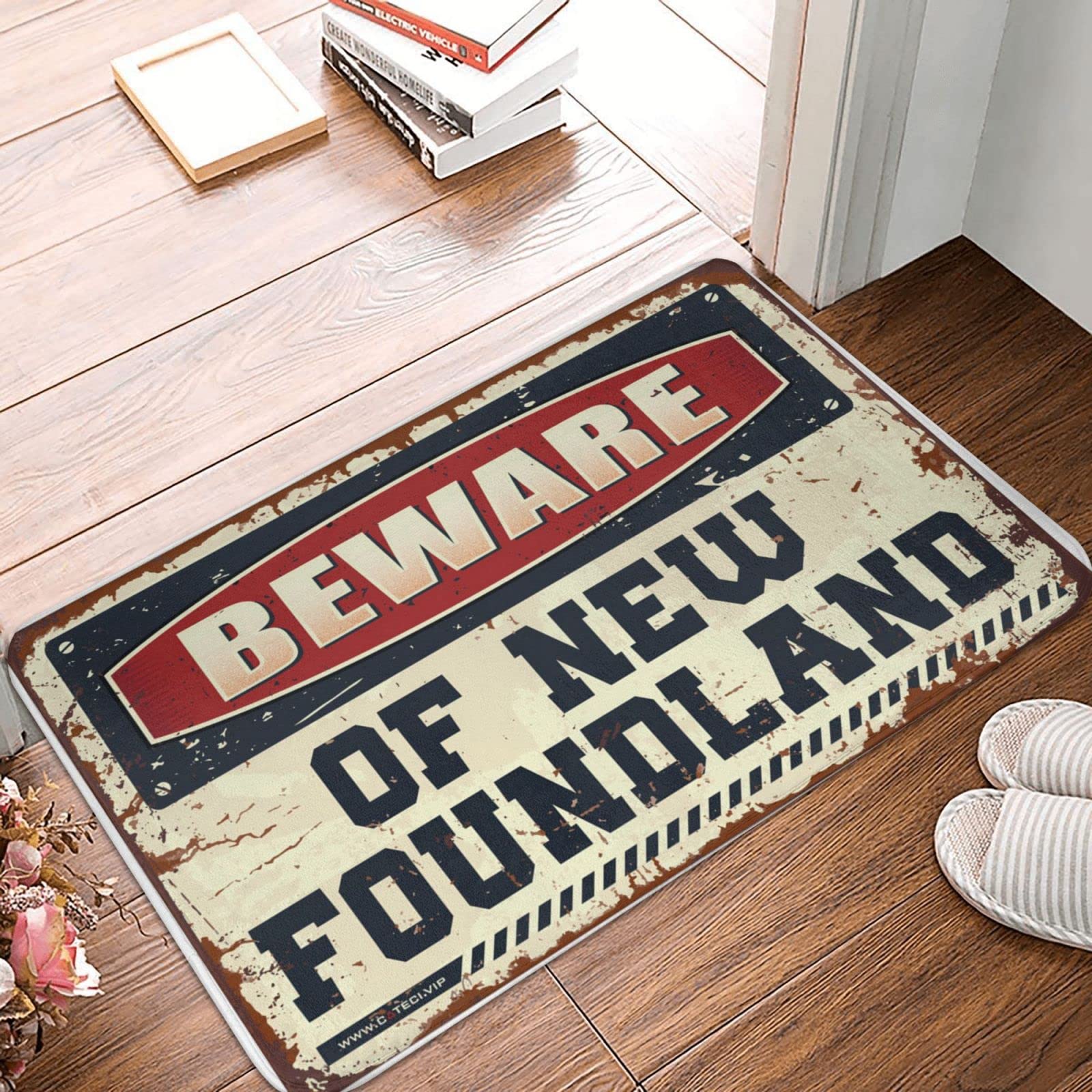 Paillasson Terre-Neuve 65x90 cm tapis de porche extérieur pour entrée